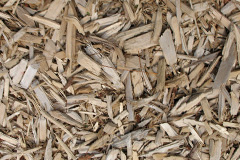 biomass boilers Marypark